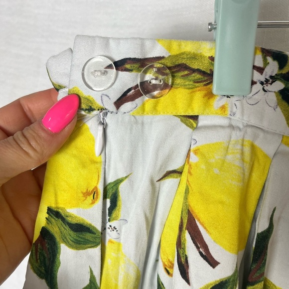 Vintage Grace Karin Lemon Print A-Line Skirt Women’s Size XL - Picture 3 of 4